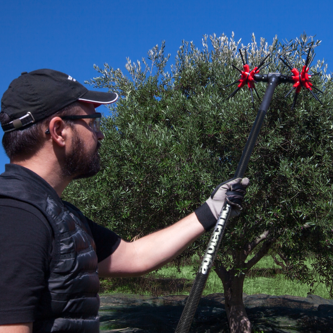 agrotechnic_olive_harvesting